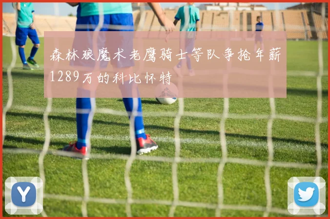 森林狼魔术老鹰骑士等队争抢年薪1289万的科比怀特